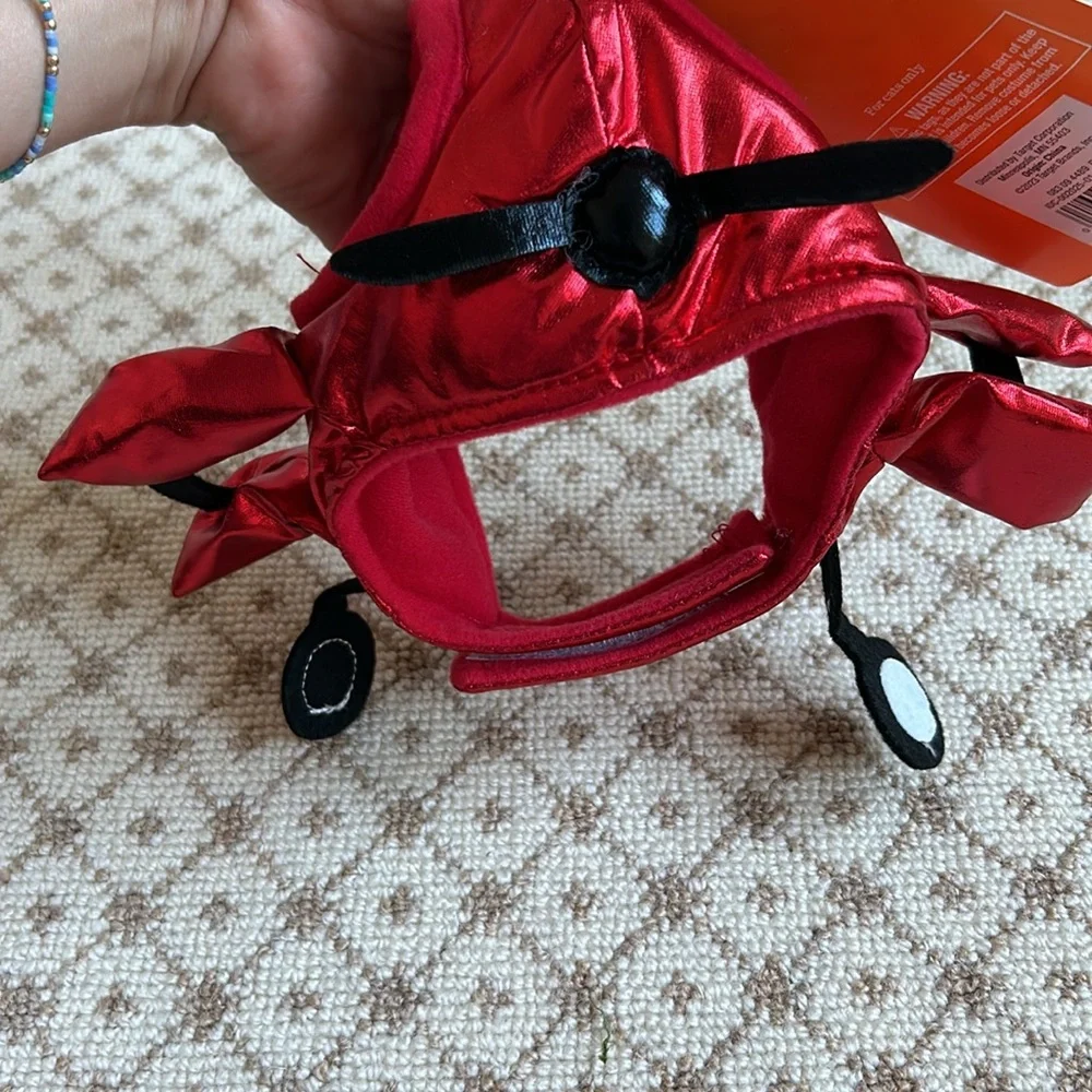 NWT cat costume biplane